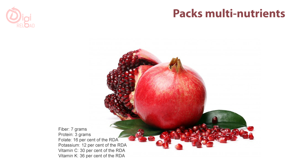 Packs Multi-Nutrients